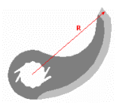 Куттерные ножи SEYDELMANN (тип 6)